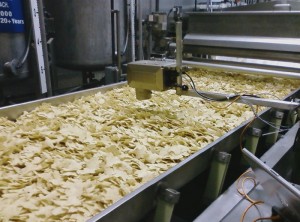 HEB TORTILLA #2