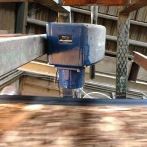 International Biomass